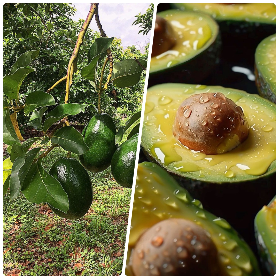 Best Recovery Fruits for Fitness
