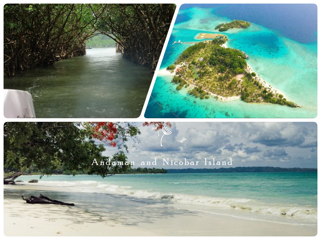 There are some beautiful places to visit in India, including Meghalaya, Uttarakhand, Andaman and Nicobar Islands, Sikkim, and Tamil Nadu.There are many more beautiful places to visit, which are detailed in the blog itself.