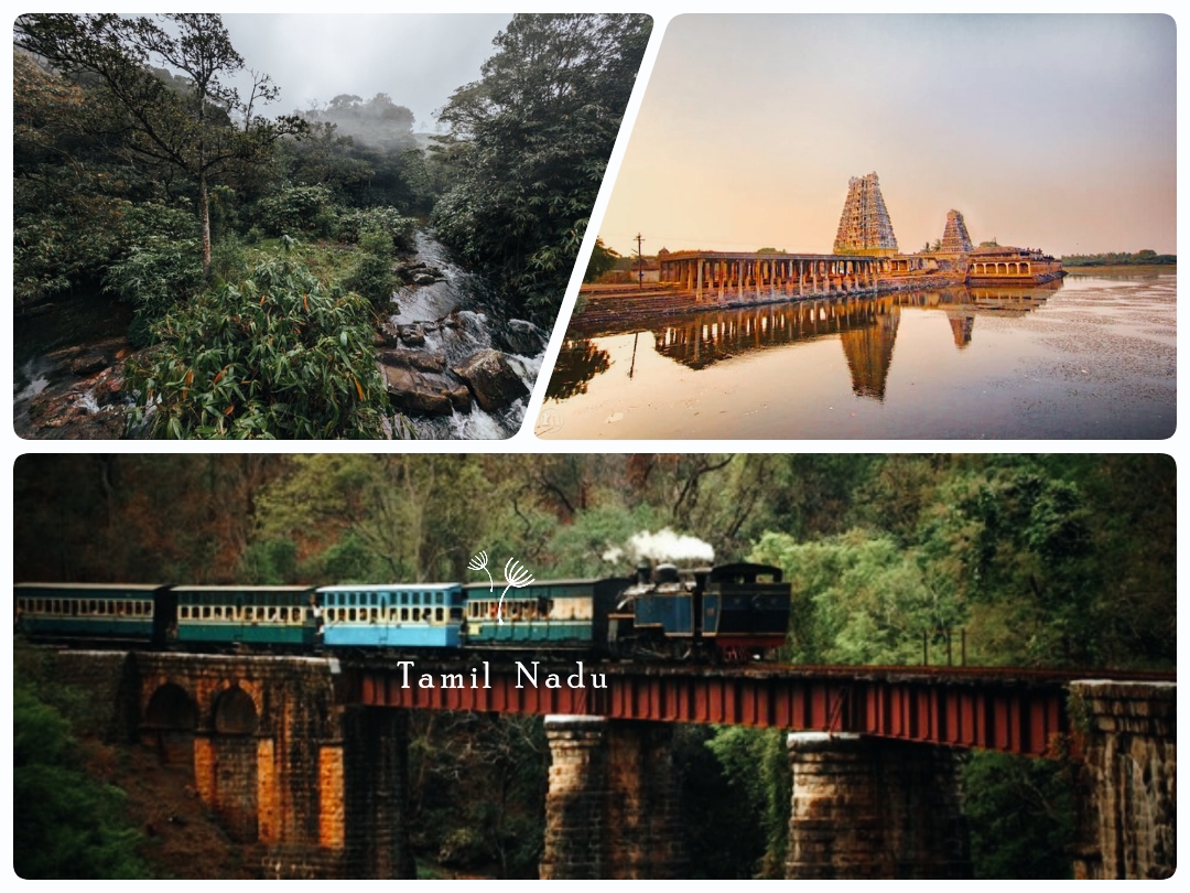 There are some beautiful places to visit in India, including Meghalaya, Uttarakhand, Andaman and Nicobar Islands, Sikkim, and Tamil Nadu.There are many more beautiful places to visit, which are detailed in the blog itself.